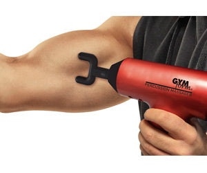 Percussion Massager a 248 LEU