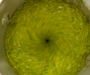 Chef Tony Kitchen Robot a 547 LEU