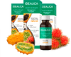 Idealica
